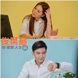 后菜鸟的灿烂时代