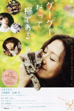 咕咕是一只猫(电影版)