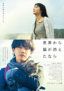 假如猫从世界上消失了/当这地球没有猫/如果这世界猫消失了/如果猫从世界上消失/如果世上不再有猫