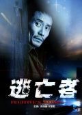 逃亡者2010