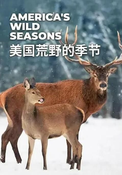 美国荒野的季节
