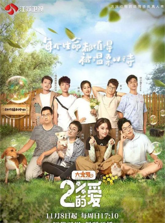 百分之二的爱第一季