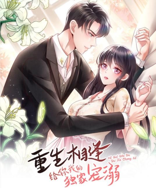 重生相逢：给你我的独家宠溺第一季