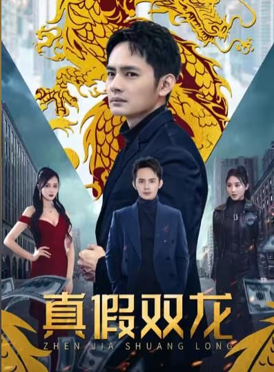 真假双龙归龙冒牌赘婿