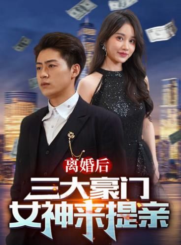 离婚后三大豪门女神来提亲