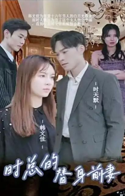 时总的替身前妻