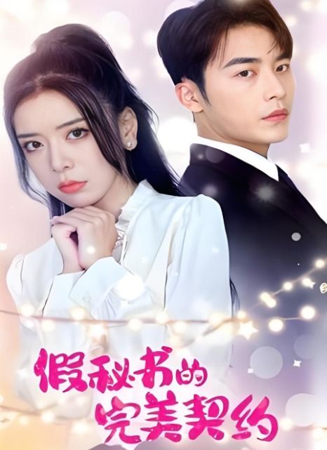 假秘书的完美契约