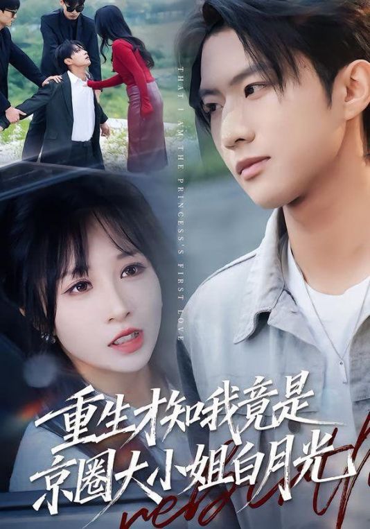 重生才知我竟是京圈大小姐白月光