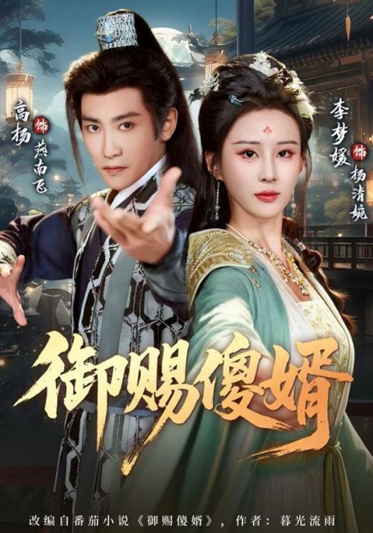 御赐S婿