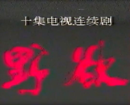 野欲1991
