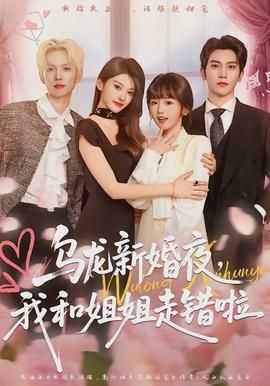 乌龙新婚夜我和姐姐走错啦