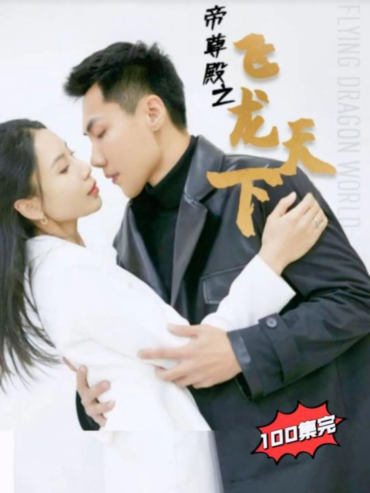 帝尊殿之飞龙天下