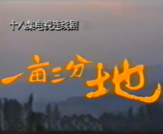 一亩三分地/高高的香椿树