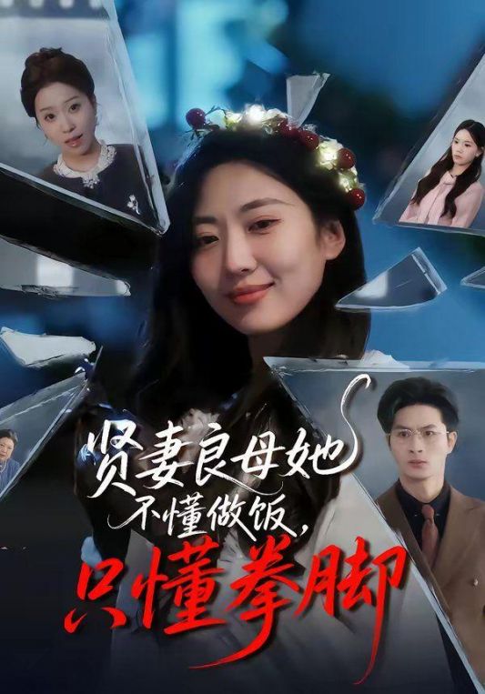 贤妻良母她不懂做饭只懂拳脚