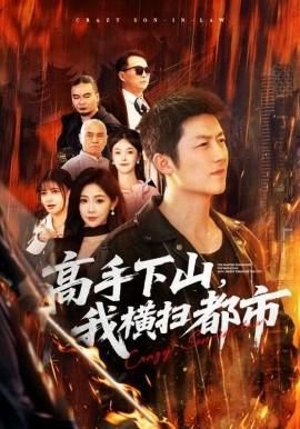 高手下山我横扫都市