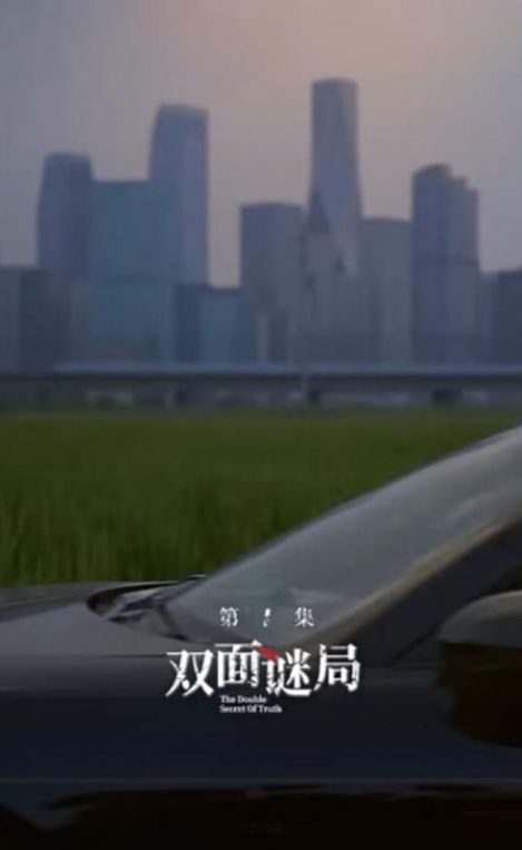 双面婚局