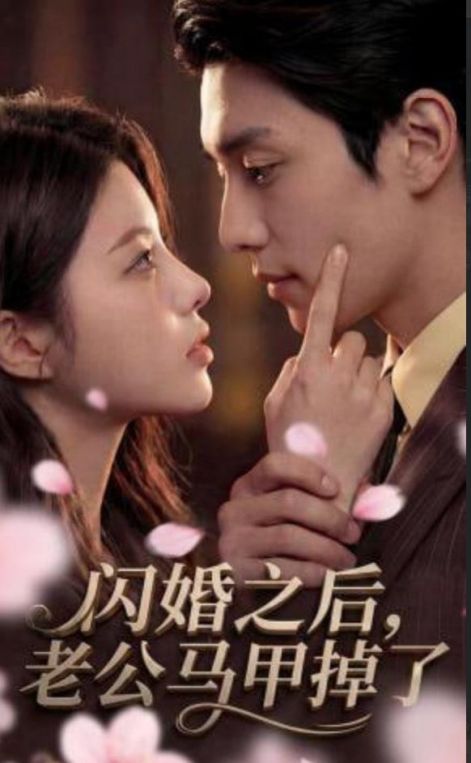 闪婚之后老公马甲掉了