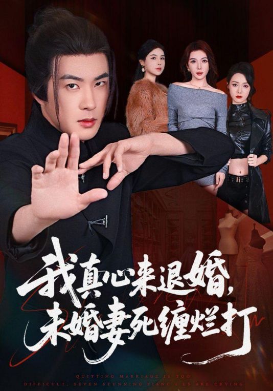 我真心来退婚未婚妻死缠烂打