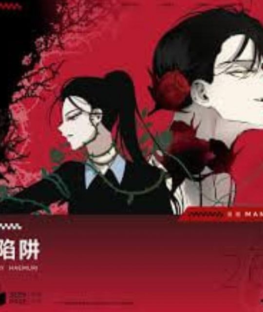 陷阱2026