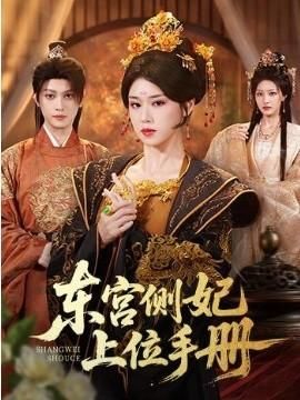 东宫侧妃上位手册