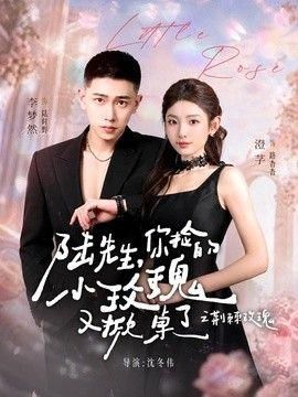 陆先生你捡的小玫瑰又掀桌了之荆棘玫瑰太子爷的小玫瑰又掀桌了