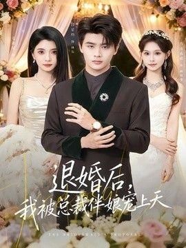 退婚后我被总裁伴娘宠上天