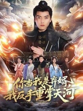 你当我是弃婿我反手重掌天河