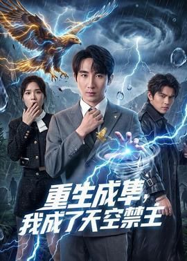 重生成隼我成了天空禁主