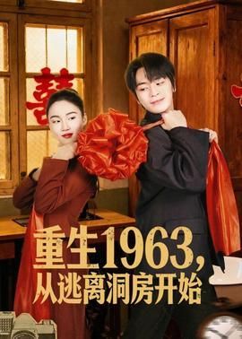 重生1963从逃离洞房开始