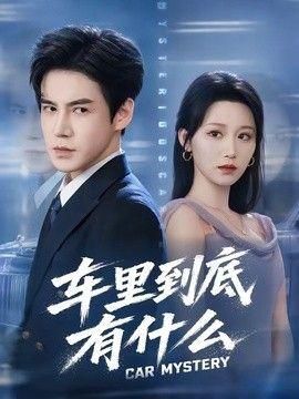 车里到底有什么