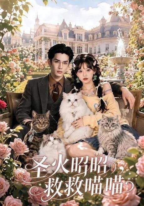 圣火昭昭救救喵喵