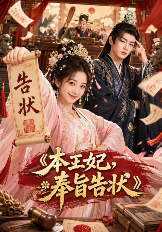 本王妃奉旨告状