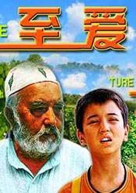 至爱2005