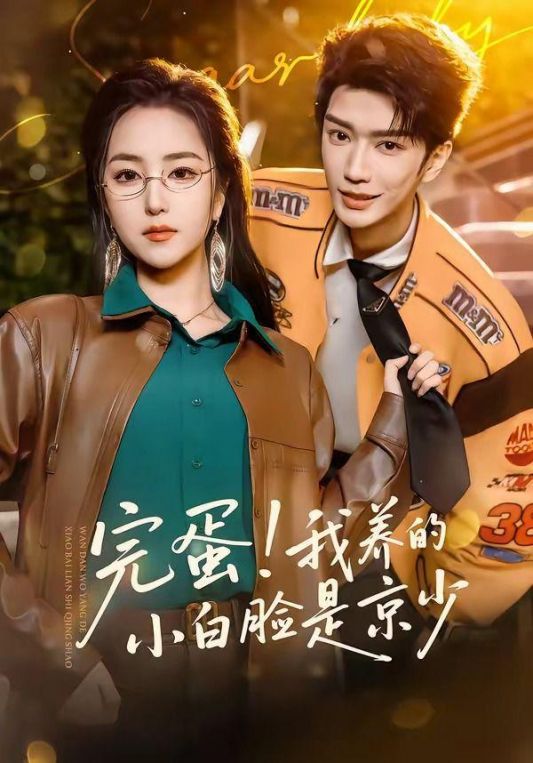完蛋我养的小白脸是京少
