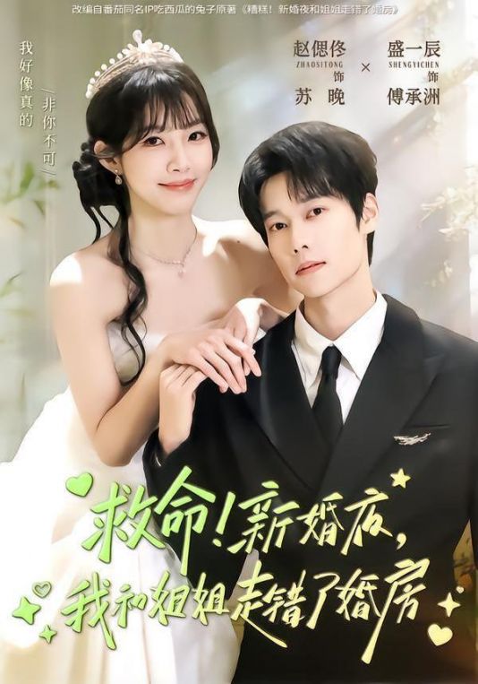 救命新婚夜我和姐姐走错了婚房