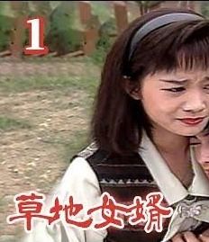 草地女婿