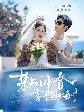 禁止闪婚雾散归栖时