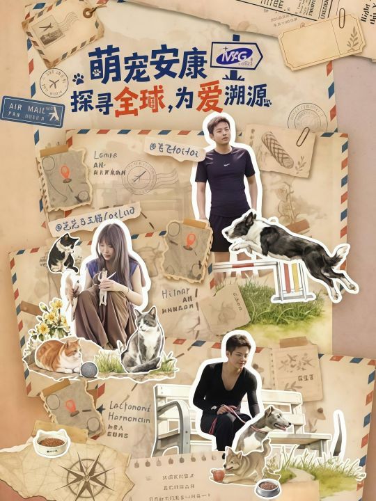 探寻全球，为爱溯源