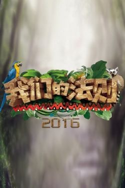 我们的法则2016